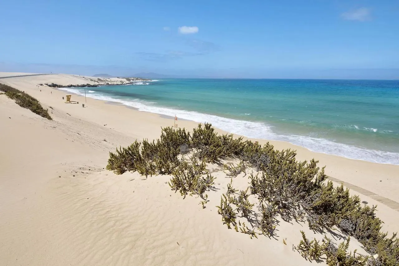 Apartamento Betty B Puerto del Rosario   Puerto del Rosario (Fuerteventura)